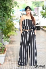 Actress Aditi Singh Latest Photos